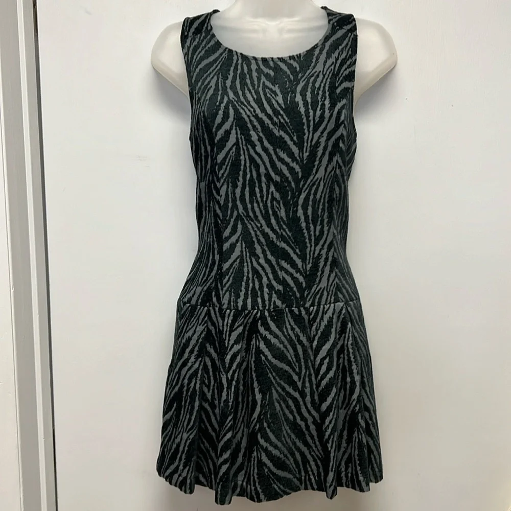 Free People Mini Fit & Flare Chenille Zebra Print Drop Waist Dress Size 4